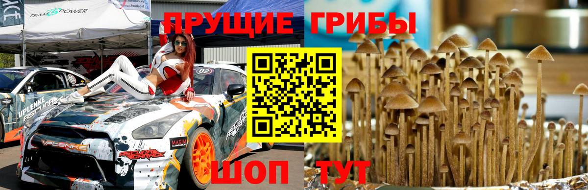Меф МЯУ МЯУ   Туапсе  МДМА  Cocaine  Вход с VPN  Бошки Шишки  Где купить наркотики?  Гашиш 