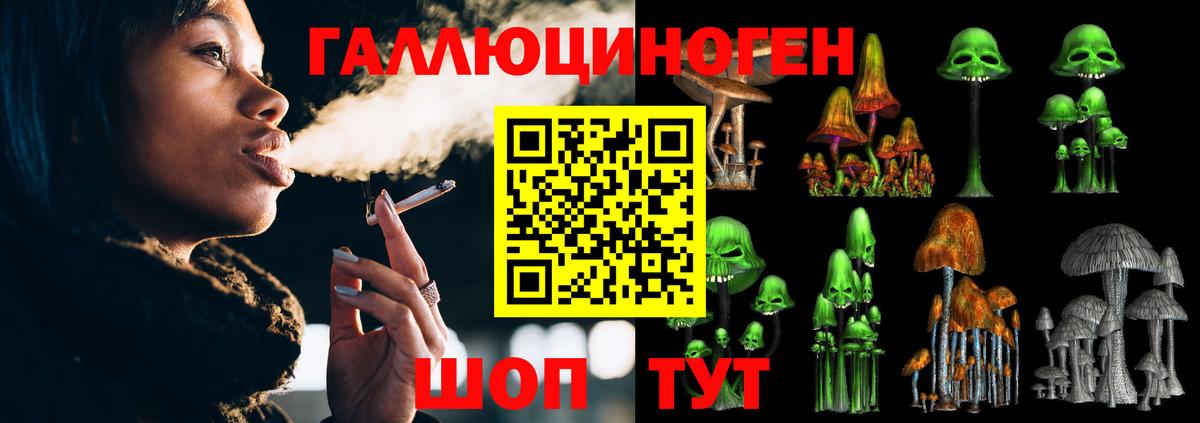 Туапсе  Псилоцибиновые грибы MAGIC MUSHROOMS  Вход с VPN 